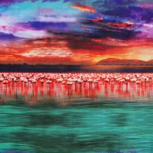 Badelycra Stoff mit bunten Flamingos und Afrika Muster zum Bademode, Tanzbekleidung & Sportkleider nähen