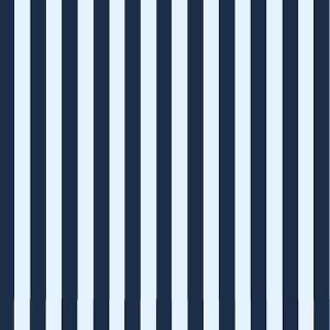 Baumwolljersey Stoff gestreift in Dunkelblau und Weiss: Hochwertige, bielastische Meterware mit 1cm breiten Streifen f&uuml;r zeitlose Alltagsbekleidung.
