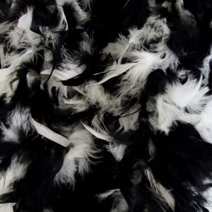 Multicolor Federboa in schwarz und weiss