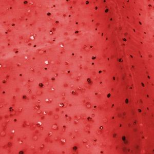 Organza Stoff in rot mit gold glänzenden Pünktchen