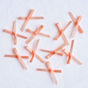 Lachsfarbige Satinschleifen (10 Stk., 2.5cm) aus glänzendem Band. Ideal zum Nähen von Kleidung, Unterwäsche, für Deko & Bastelprojekte.